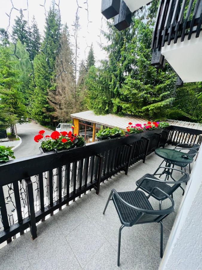Cabana Din Poienita Poiana Brasov Exteriör bild
