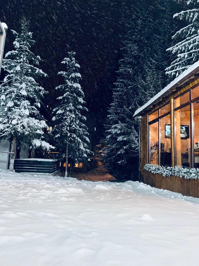 Cabana Din Poienita Poiana Brasov Exteriör bild