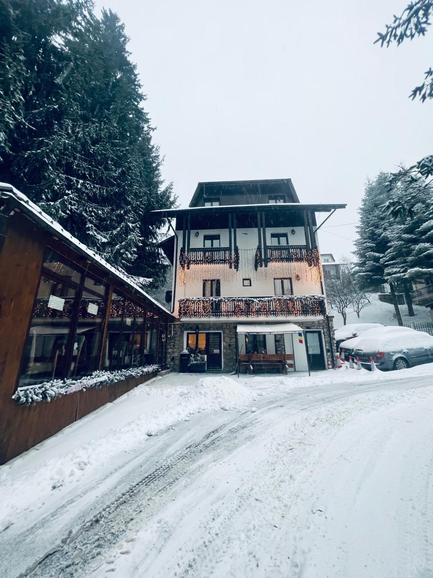 Cabana Din Poienita Poiana Brasov Exteriör bild